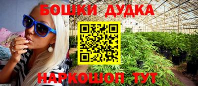 apvp Славгород