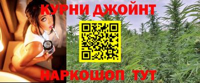apvp Славгород