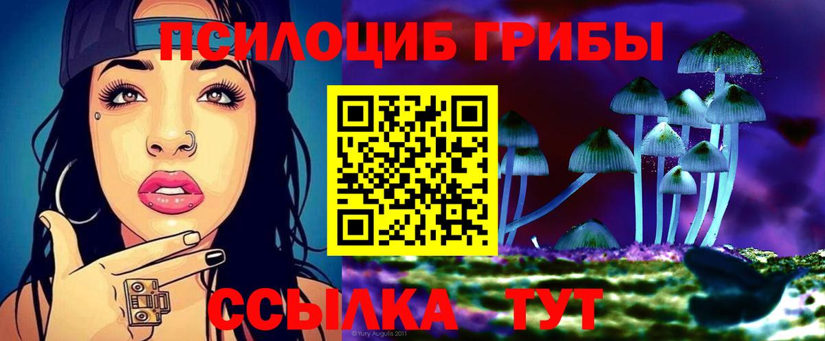 Нижний Тагил  наркотики  Вход с VPN  Галлюциногенные грибы GOLDEN TEACHER 